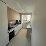 Apartment Skyview *